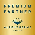 Nh96 Inklusive Kostenfreiem Eintritt In Alpentherme * Бад Хофгаштайн